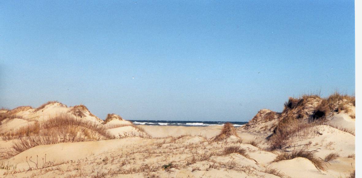 dunes2.jpg